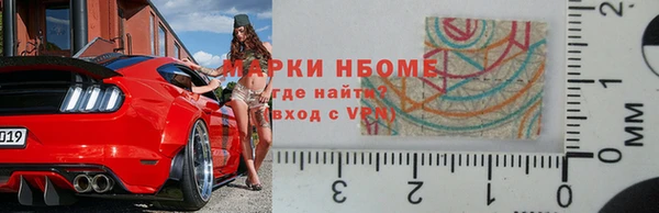 хмурый Аркадак