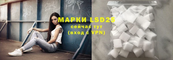 хмурый Аркадак
