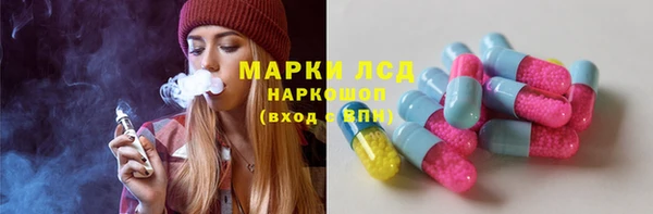 хмурый Аркадак