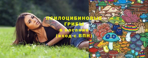 хмурый Аркадак