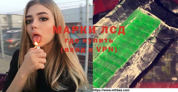 хмурый Аркадак