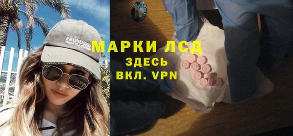 хмурый Аркадак