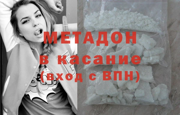 хмурый Аркадак