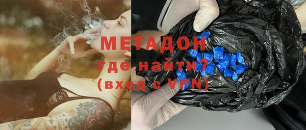 хмурый Аркадак