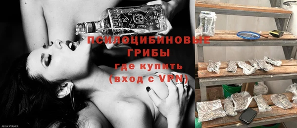 хмурый Аркадак
