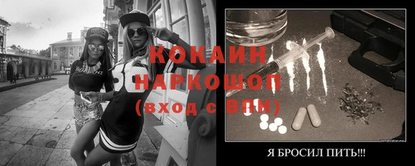 гидра Арсеньев