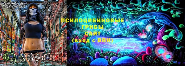 хмурый Аркадак